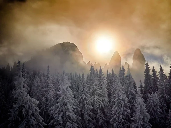 Paysage hivernal avec arbres et montagnes — Photo