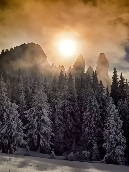 Χειμερινό τοπίο με δέντρα και βουνά — Φωτογραφία Αρχείου