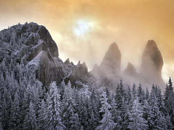 Зимний пейзаж с деревьями и горами — стоковое фото
