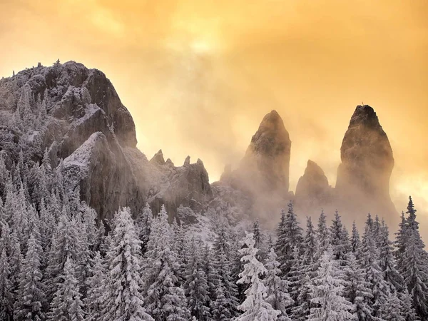 Zimní krajina se stromy a horami — Stock fotografie