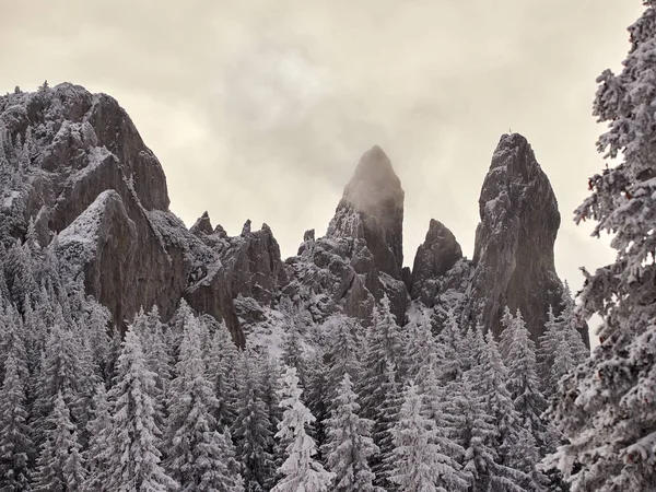 Paisaje invernal con árboles y montañas — Foto de Stock