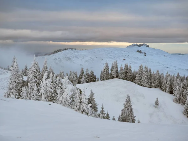 Winter landscape with trees and mountains — Stock Photo, Image