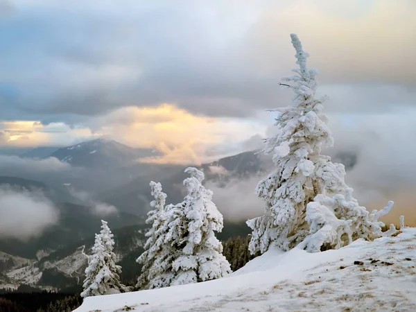 Paisagem de inverno com árvores e montanhas — Fotografia de Stock