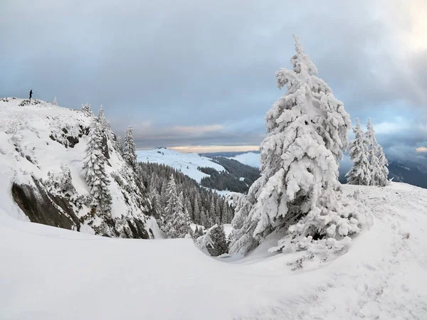 Winter landscape with trees and mountains — Stock Photo, Image