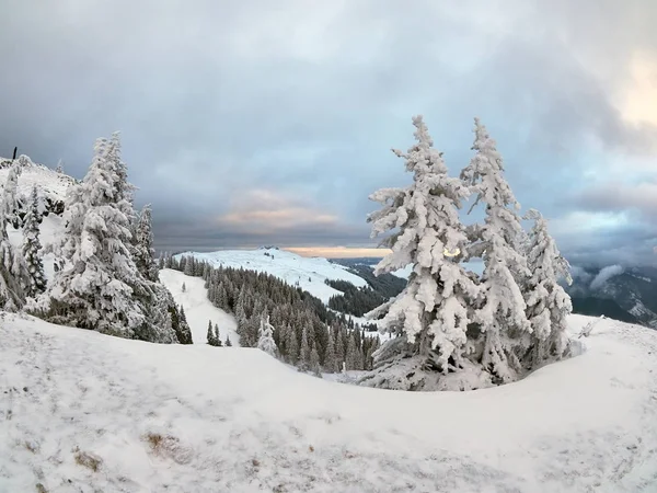 Paesaggio invernale con alberi e montagne — Foto Stock