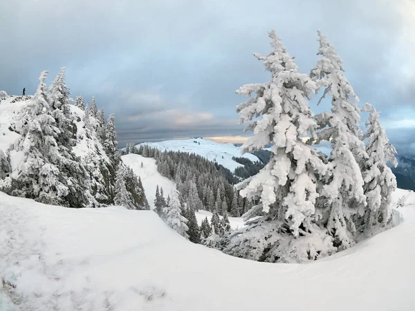 Winter landscape with trees and mountains — Stock Photo, Image