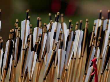 el hazırlanmış okları