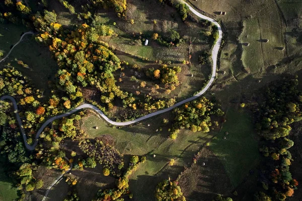 Karpaterna landsbygden — Stockfoto