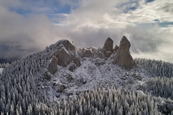 Paisaje invernal con árboles helados —  Fotos de Stock