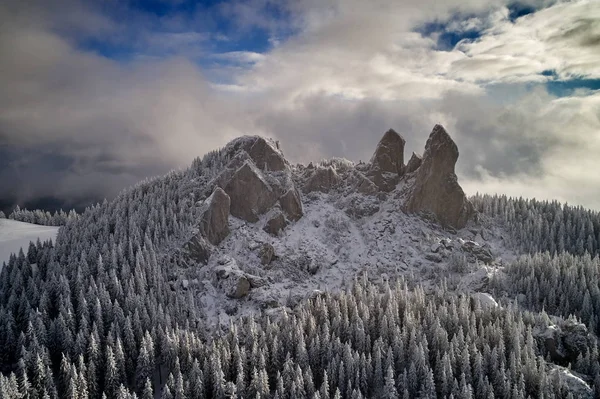 Paysage hivernal avec arbres givrés — Photo