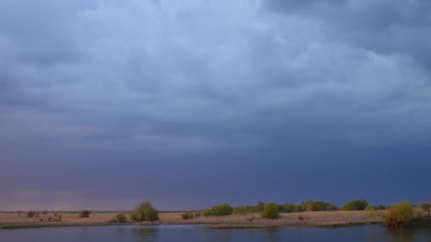 Luchtfoto Van Oever Van Donau Zomer Dobrogea Roemenië Timelapse Footage — Stockvideo