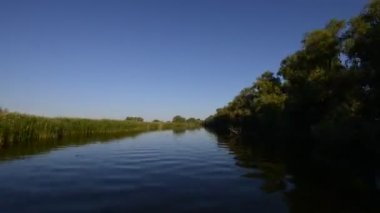 Romanya 'nın Dobrogea kentinde yazın Tuna Nehri kıyısının havadan manzarası