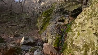 Romanya 'nın sonbaharda kırsal Karpat dağlarının hava görüntüsü