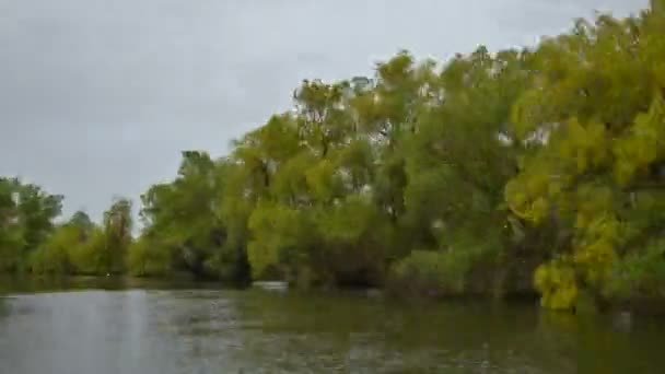 Flygfoto Över Donaus Flodstrand Sommaren Dobrogea Rumänien — Stockvideo