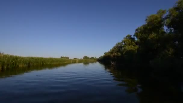 夏のドナウ川の岸の空中ビュー ドブロギア ルーマニア — ストック動画