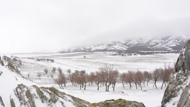 Nieve Tardía Ramita Pricopane Macin Montañas Dobrogea Rumania — Vídeos de Stock