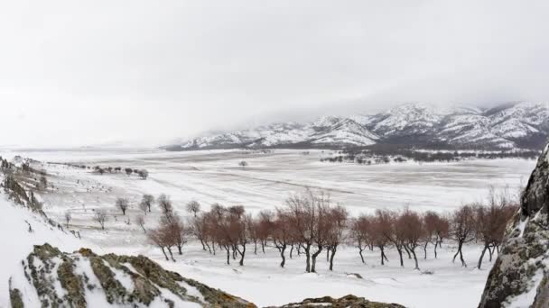 Nieve Tardía Ramita Pricopane Macin Montañas Dobrogea Rumania — Vídeo de stock