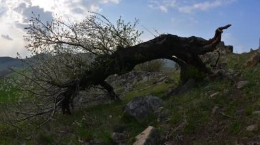 Romanya 'nın sonbaharında Karpat dağlarının kırsal kesimlerinin hava görüntüsü zamanlaması