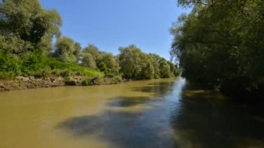 Romanya 'nın Dobrogea kentinde yazın Tuna Nehri kıyısının havadan manzarası