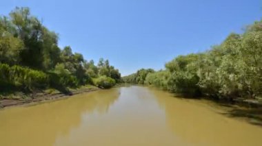 Romanya 'nın Dobrogea kentinde yazın Tuna Nehri kıyısının havadan manzarası