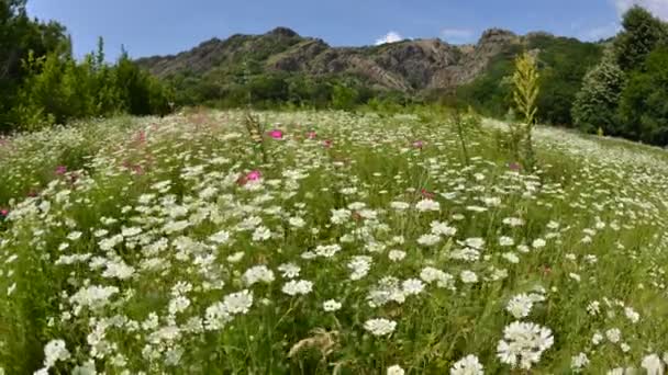 Αεροφωτογραφία Timelapse Πλάνα Από Την Ύπαιθρο Των Καρπαθίων Βουνών Πρωί — Αρχείο Βίντεο