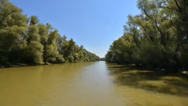 Widok Lotu Ptaka Brzeg Dunaju Dobrogea Rumunia — Wideo stockowe