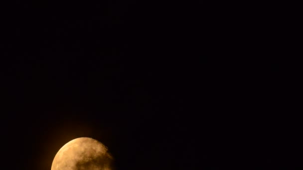 Nocne niebo z księżycem — Wideo stockowe