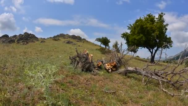 Vue aérienne Timelapse images de la campagne des Carpates en automne matin, Roumanie 