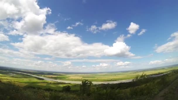 Vista Aérea Costa Rio Danúbio Verão Dobrogea Roménia — Vídeo de Stock