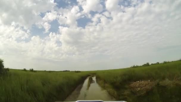 Camino vacío en el campo — Vídeo de stock