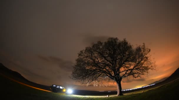 Одинокое Дерево Поле Рассвете Timelapse Кадры Доброгея Цыгане — стоковое видео