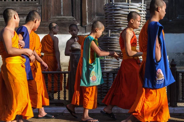 Acemi rahipler Wat Prasat Tapınağı'Chiang Mai, Tayland.