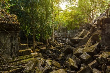 BEng Mealea, tapınak kalıntıları Siem Reap yakınındaki ormanda çöktü