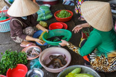 Kadınlar Mekong Delta Market Nga Körfezi, Vietnam için yemek hazırlamak