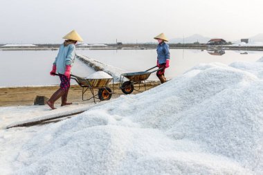 İşçiler Nha Tra tatlım Khoi tuz alanlarında, el arabası itme