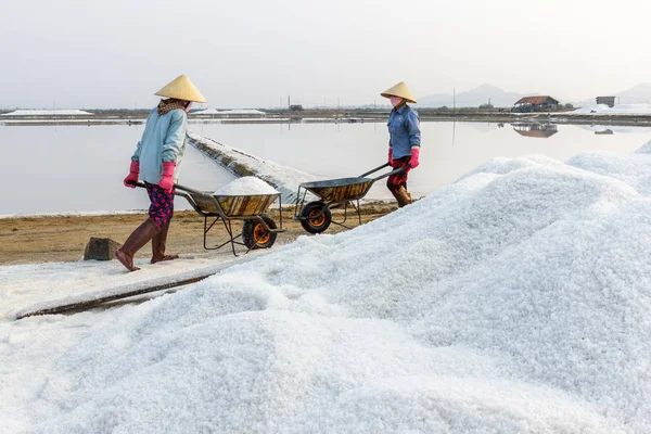 İşçiler Nha Tra tatlım Khoi tuz alanlarında, el arabası itme