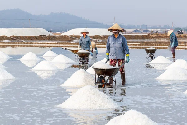 Kadın işçilerin Nha Trang, Vietnam Hon Khoi tuz alanlarında