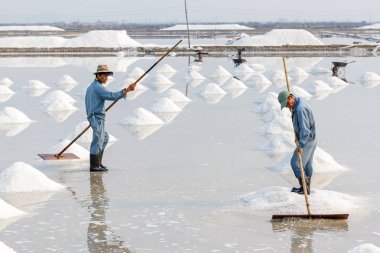 İki adam tuz yığınları Hon Khoi tuz alanlarında, organize etmek 