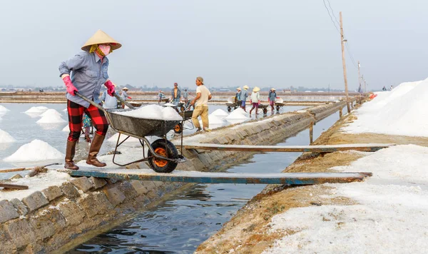 Bir kadın Nha Trang, Vietnam Hon Khoi tuz alanlarında çalışıyor