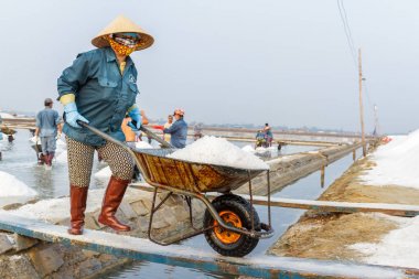 Bir kadın bir el arabası tuz tatlım Khoi tuz alanlarda iter.