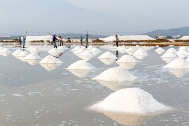 Tatlım Khoi tuz alanları Nha Trang, Vietnam