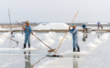 Erkekler Hon Khoi çalışma alanları Nha Trang, Vietnam tuz