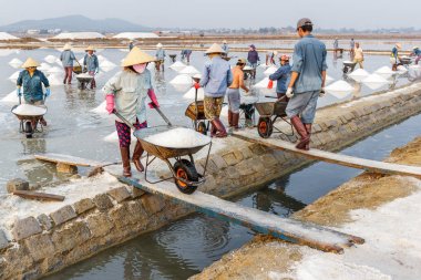 Nha Trang, Vie tatlım Khoi tuz alanlarında, işçilerin bir grup