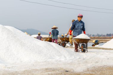 Tatlım Khoi, el arabası itme işçi Nha alanlarında tuz 