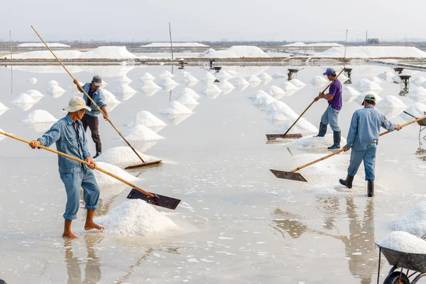 İşçiler tuz yığınları Hon Khoi tuz alanlarında, organize etmek 