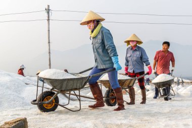 Tuz Hon Khoi hareketli işçi Nha Trang, VI alanlarında tuz