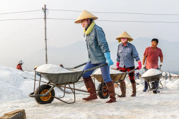 Tuz Hon Khoi hareketli işçi Nha Trang, VI alanlarında tuz