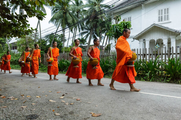 Buddhist monks collecting alms in Luang Prabang, Laos
