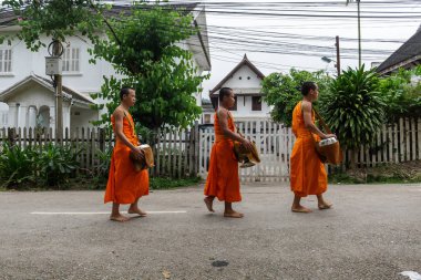 Acemi Budist rahipler sadaka Luang Prabang, Laos içinde toplamak