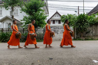 Dört Budist rahipler sadaka Luang Prabang, Laos içinde toplamak